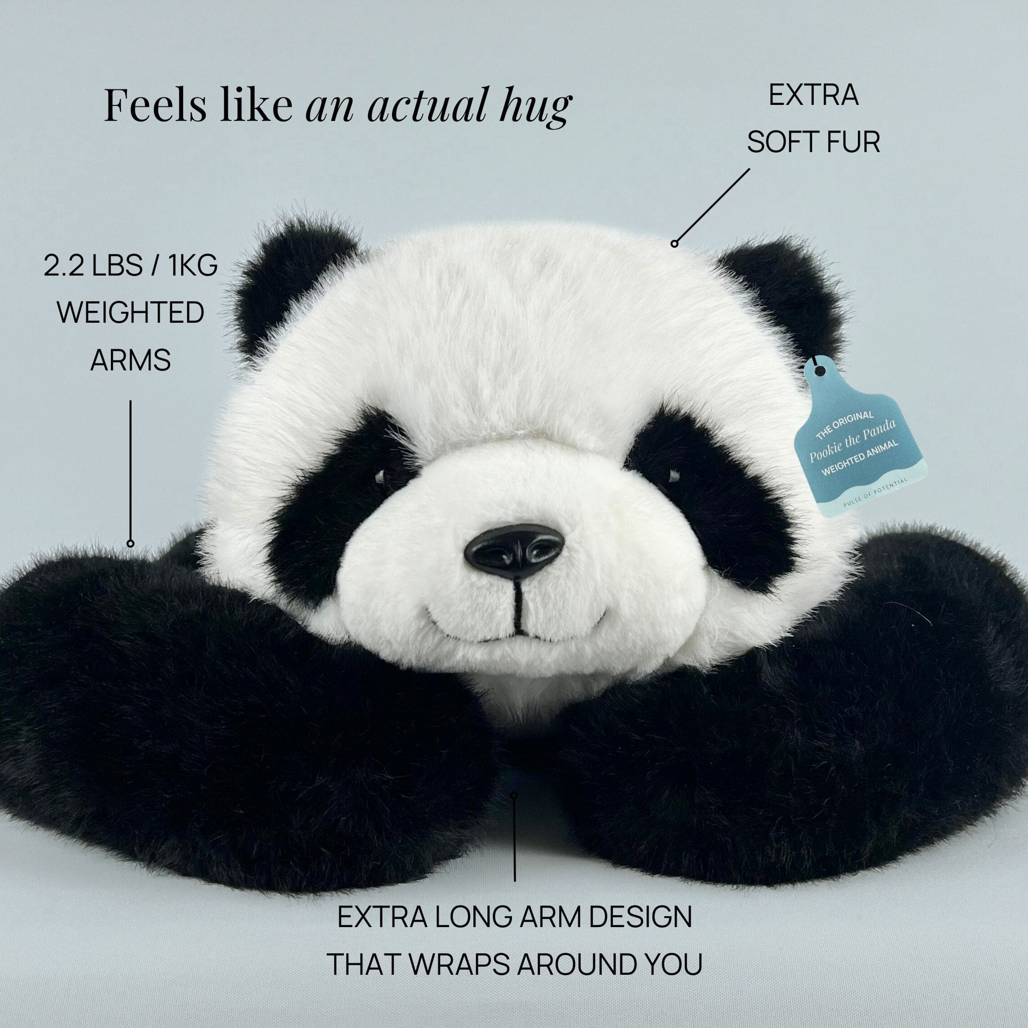 Pookie the Panda Weighted Animal - Image 5