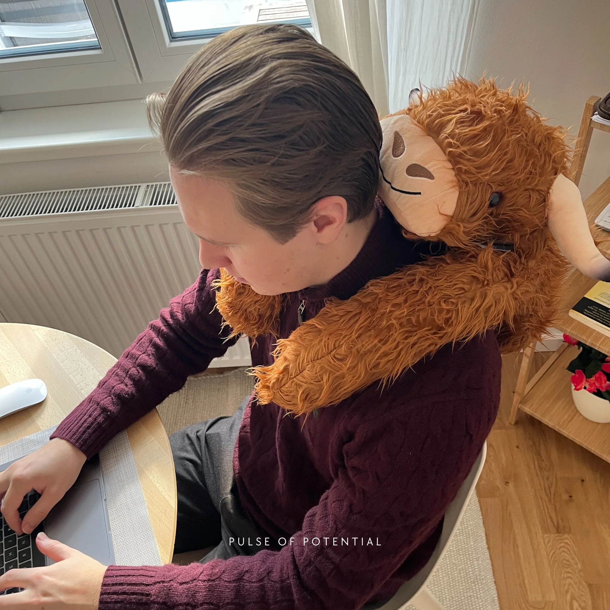 Hallie the Highland Cow Weighted Animal - Image 11