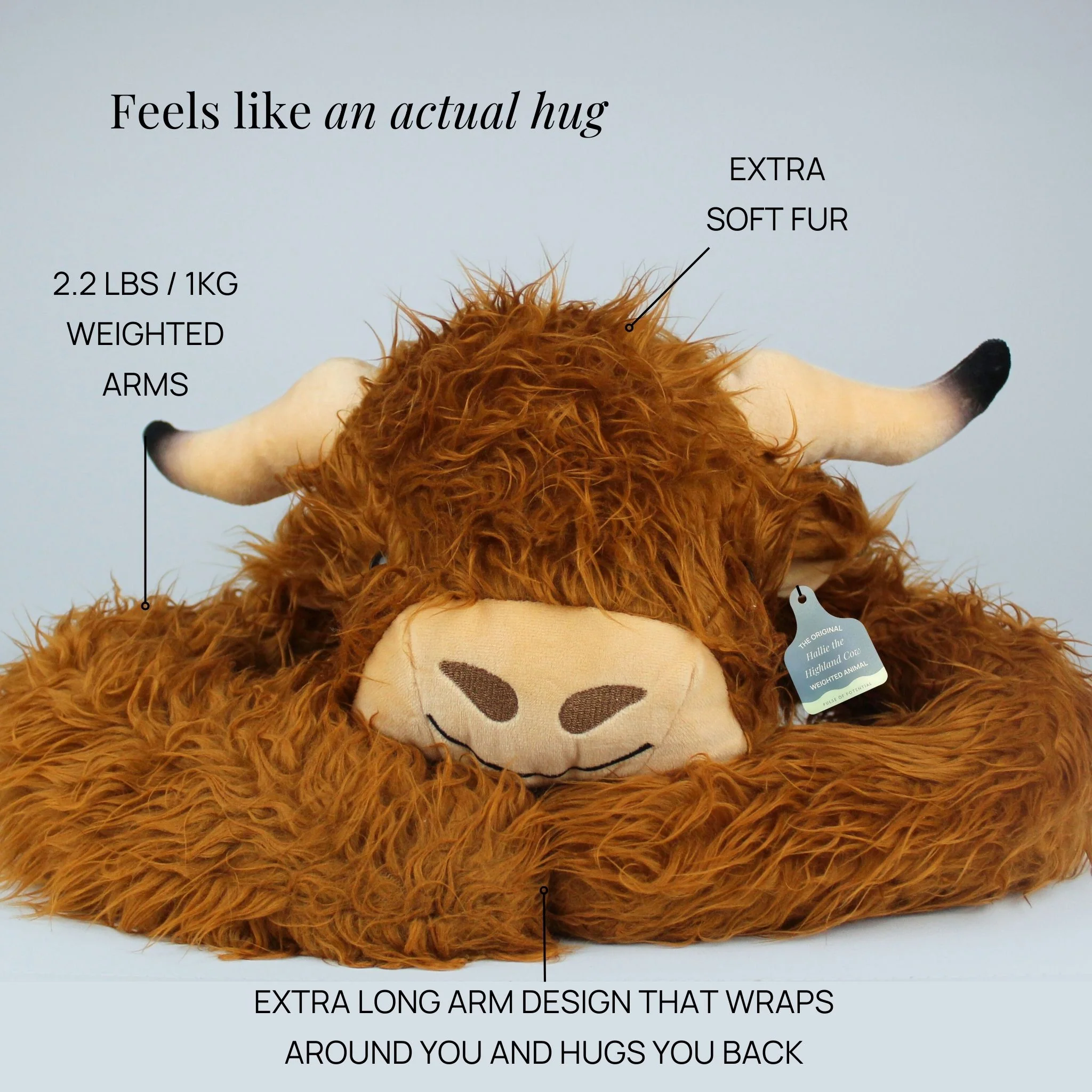 Hallie the Highland Cow Weighted Animal - Image 5
