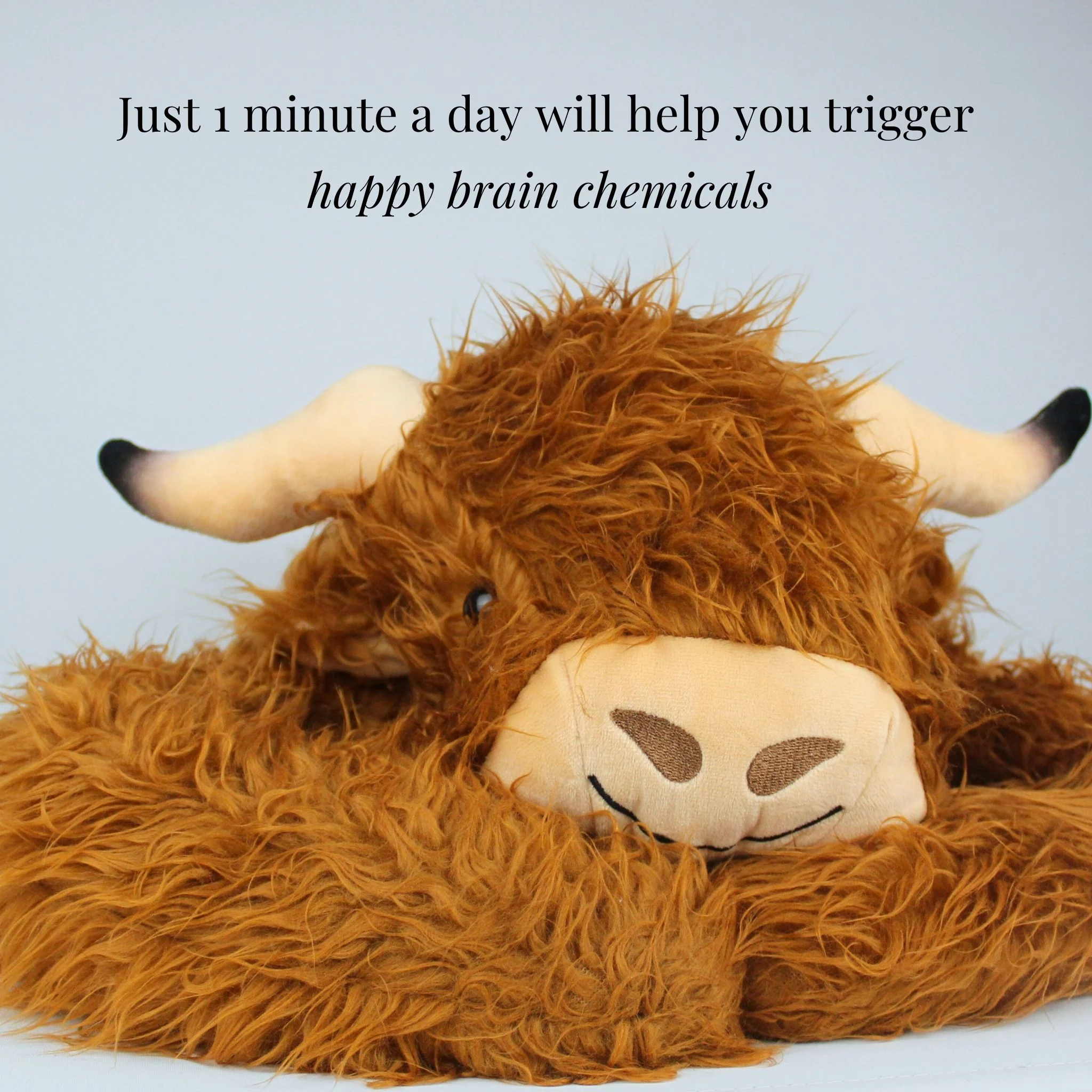 Hallie the Highland Cow Weighted Animal - Image 6