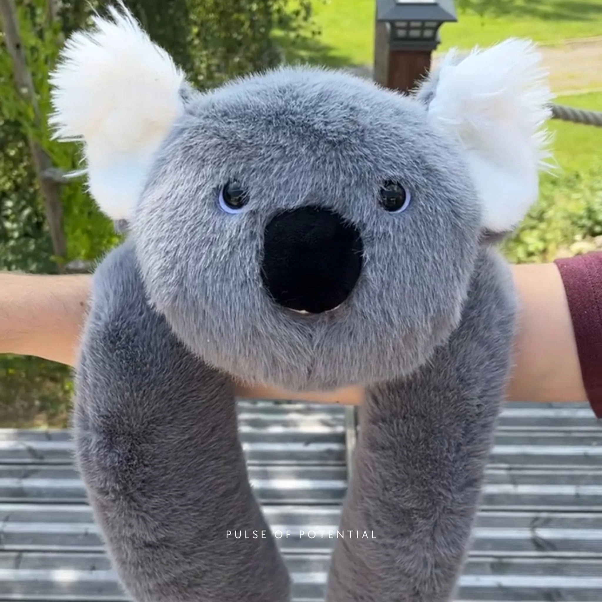 Koko the Koala Weighted Animal - Image 12