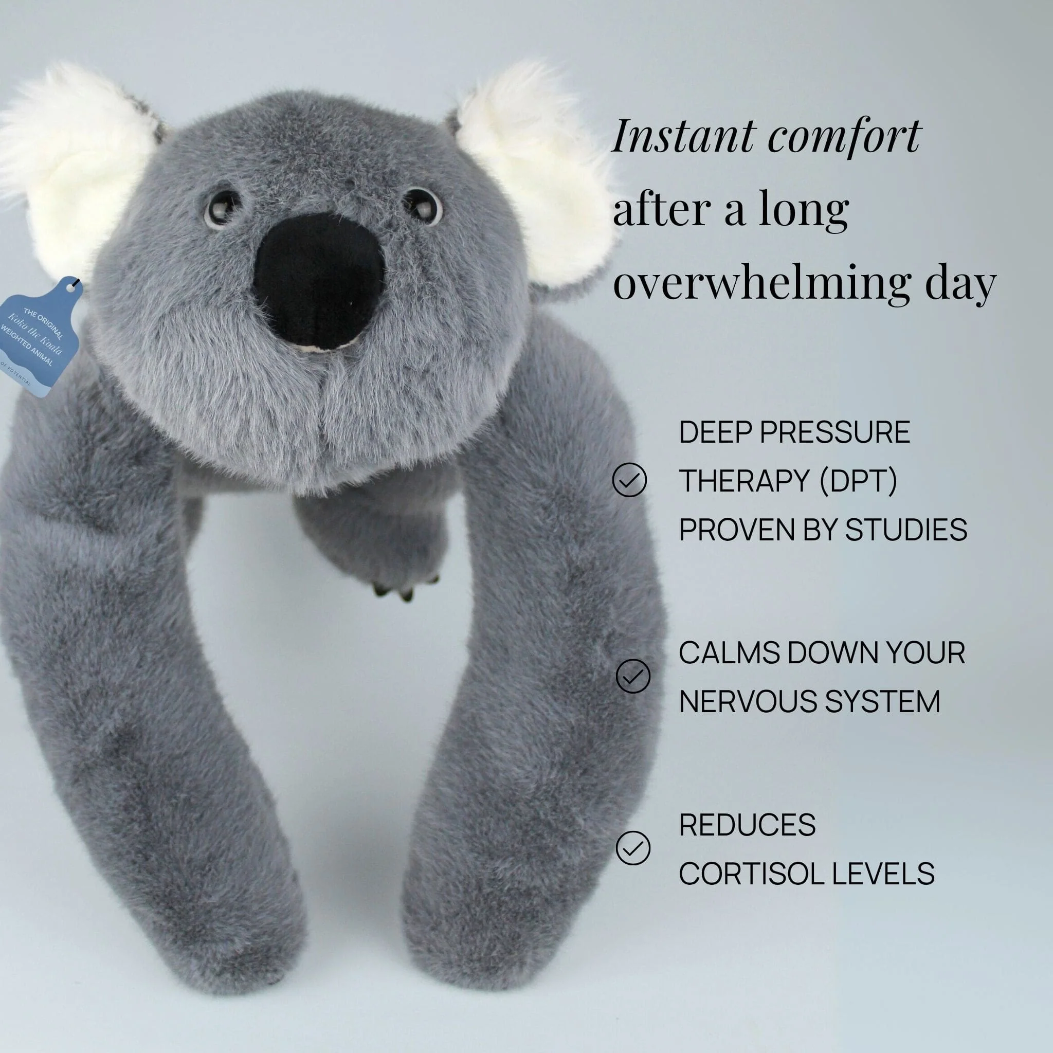 Koko the Koala Weighted Animal - Image 4