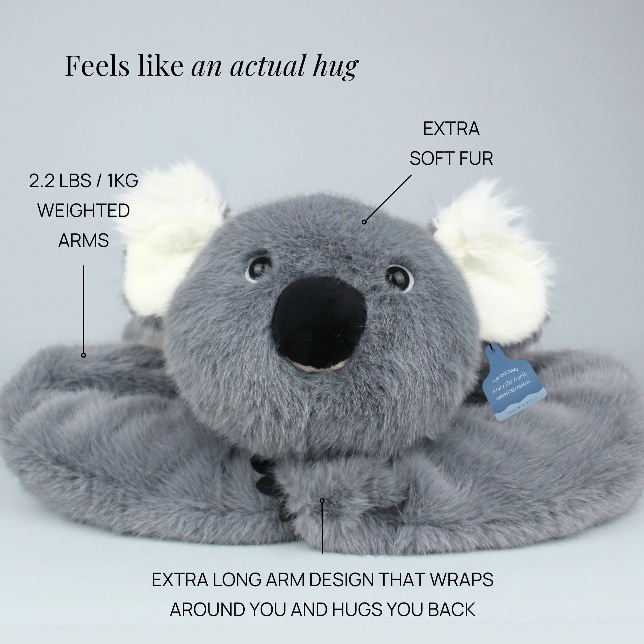 Koko the Koala Weighted Animal - Image 5