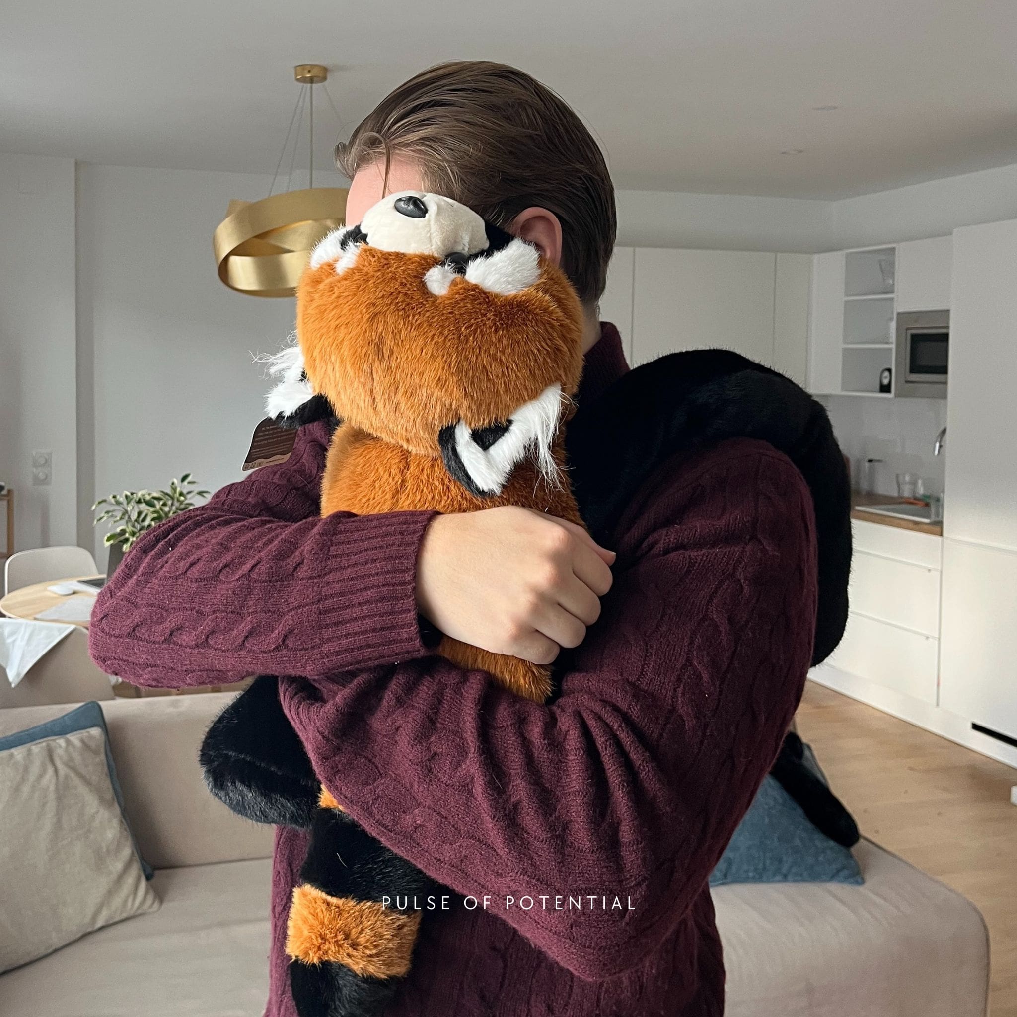 Remie the Red Panda Weighted Animal - Image 10