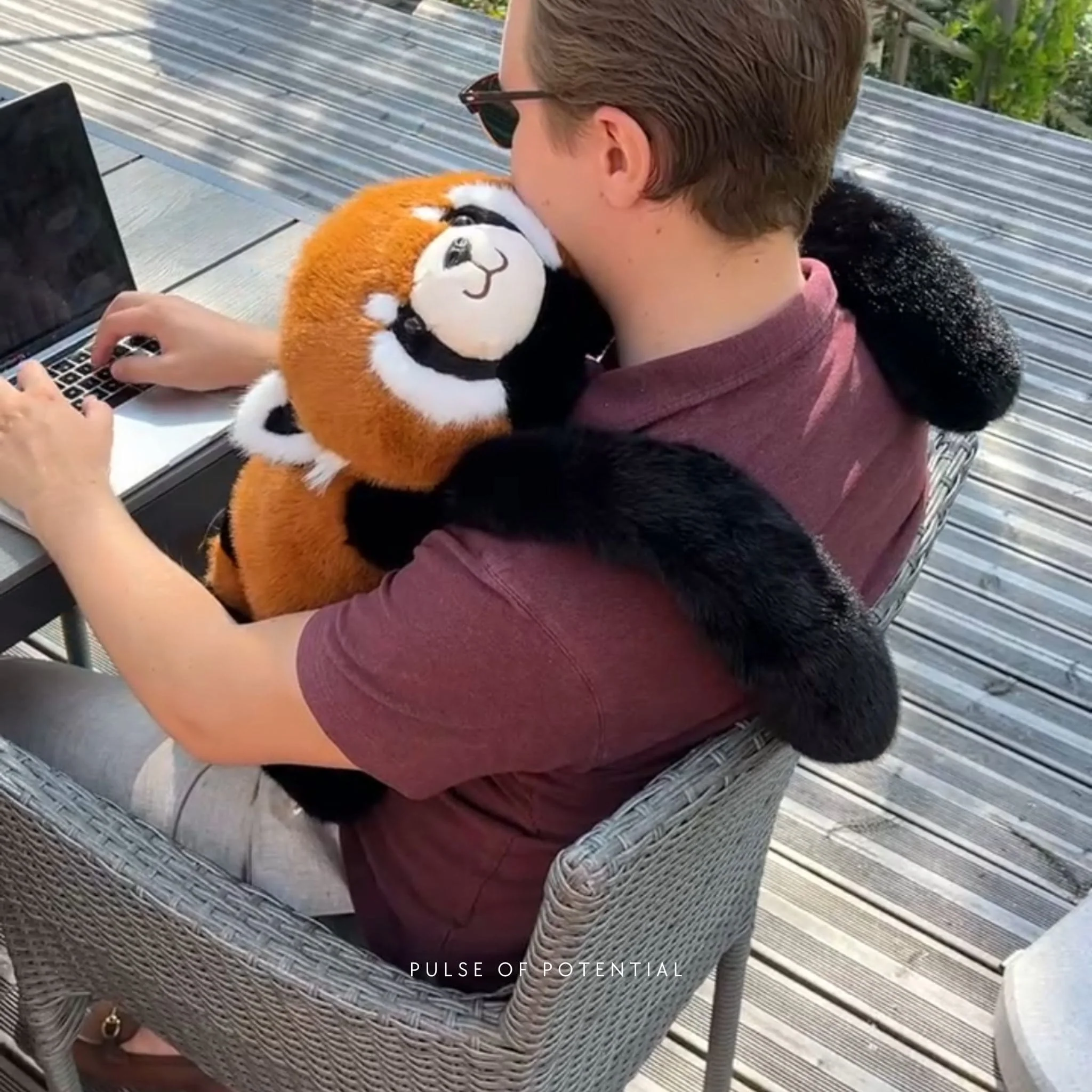 Remie the Red Panda Weighted Animal - Image 12