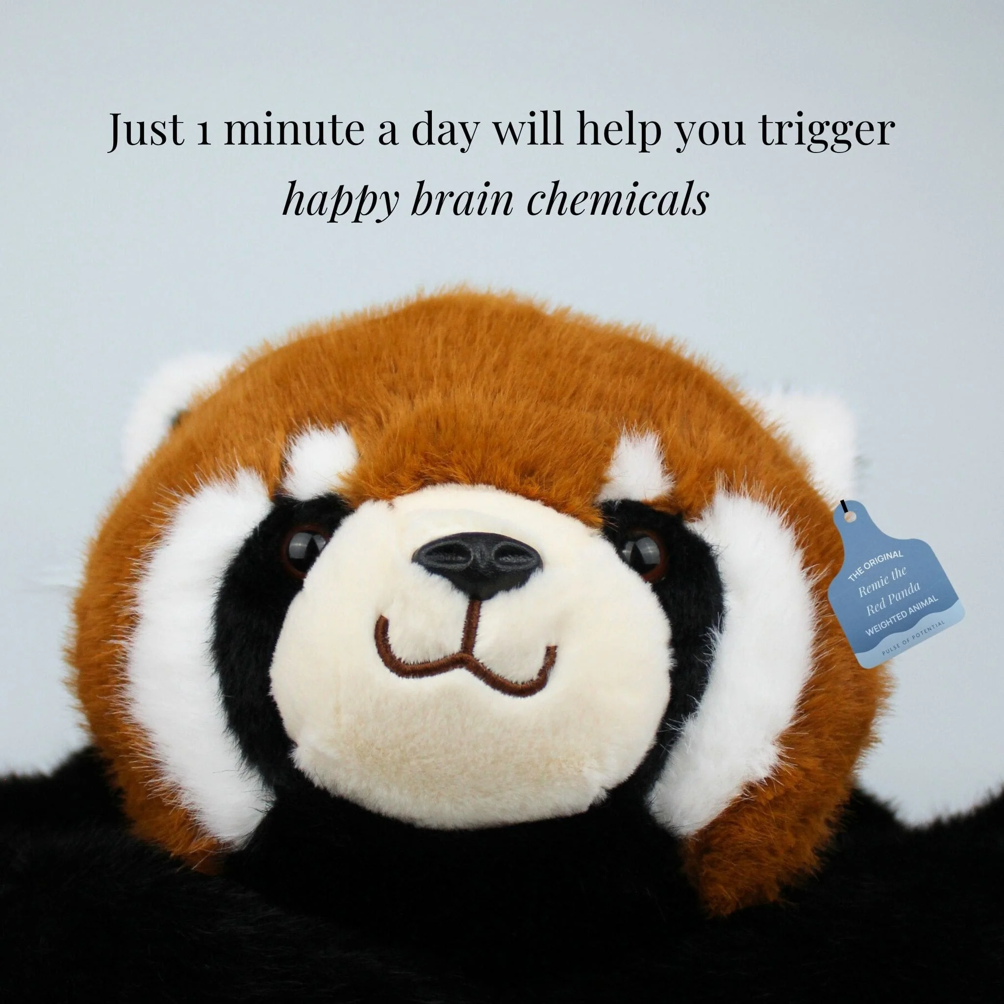 Remie the Red Panda Weighted Animal - Image 6