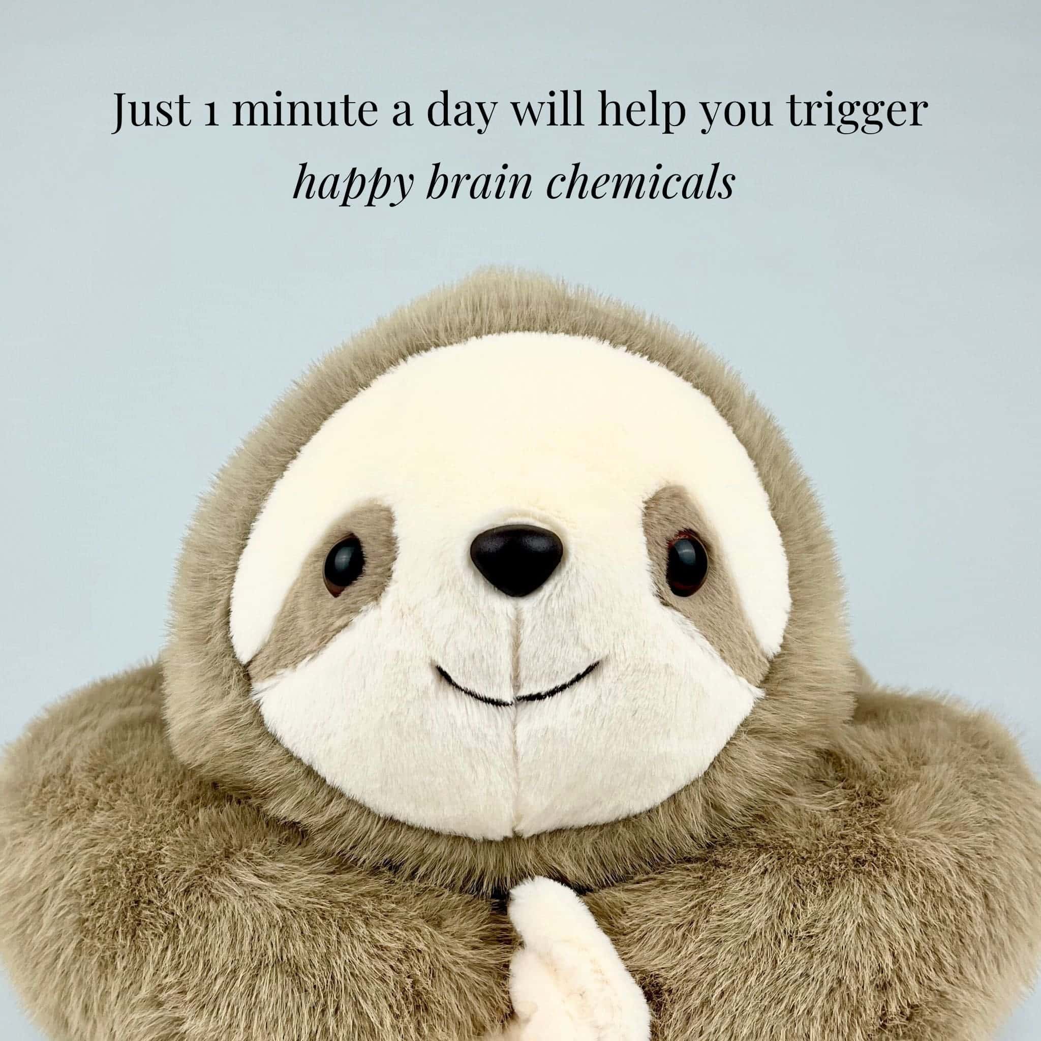 Sunnie the Sloth Weighted Animal - Image 10