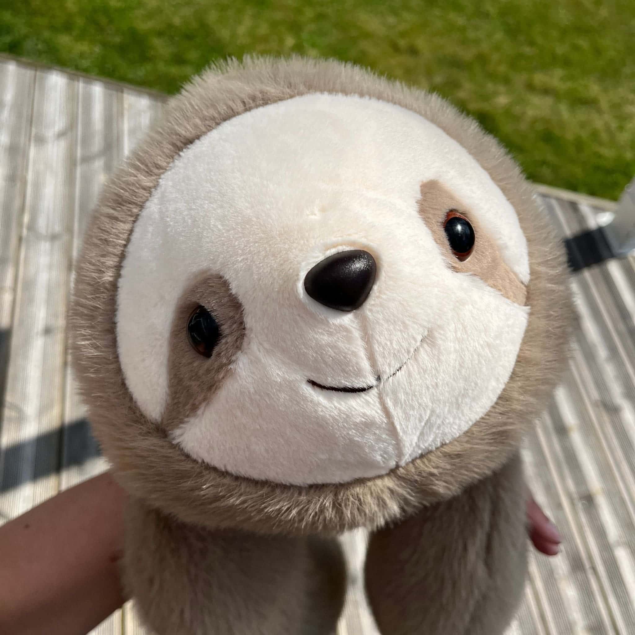 Sunnie the Sloth Weighted Animal - Image 14